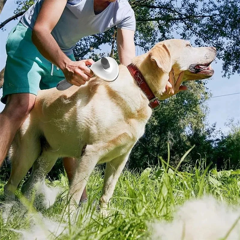 FurEase - Pet Grooming Brush