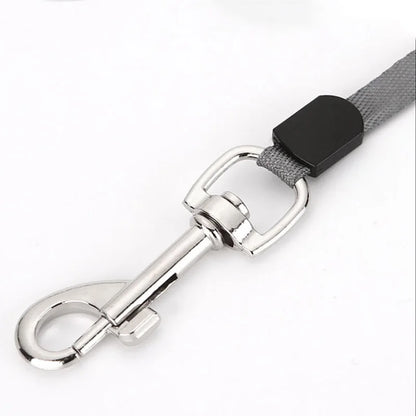 PawFlex - Retractable Dog Leash